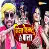 About Jila Rohtas Se Pala Song